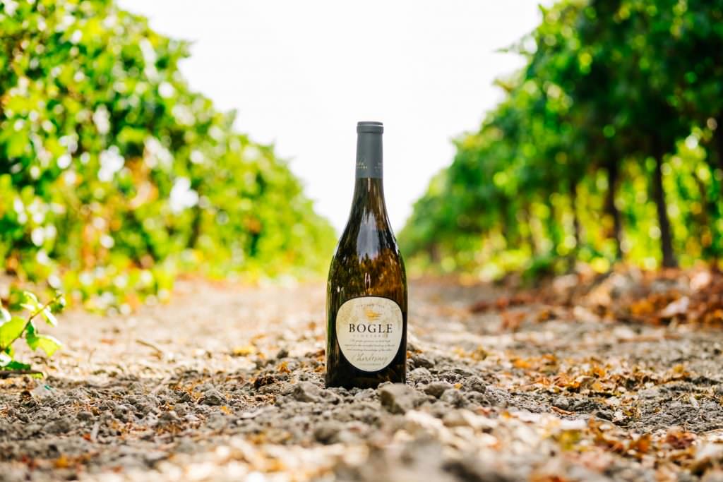 Bogle Vineyards: Six Generations in the Sacramento Region and They Couldn’t Be Happier
