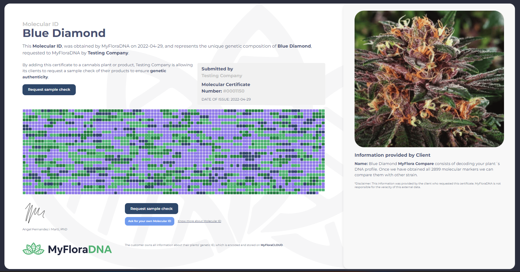 Biotech company – MyFloraDNA – launches DNA profiling to identify and validate cannabis strains
